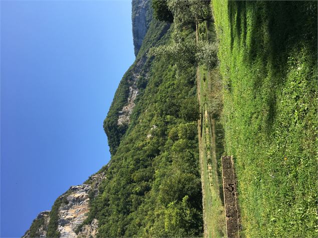 Plan d'eau Chaley - J.Bernard