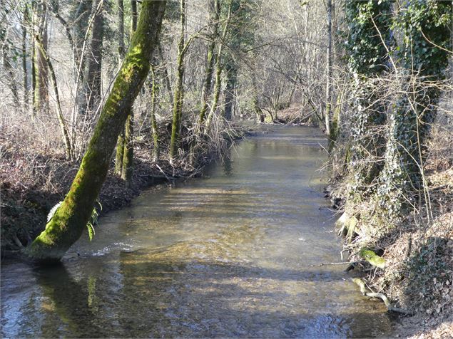 La Méline - © AAPPMA de Yenne
