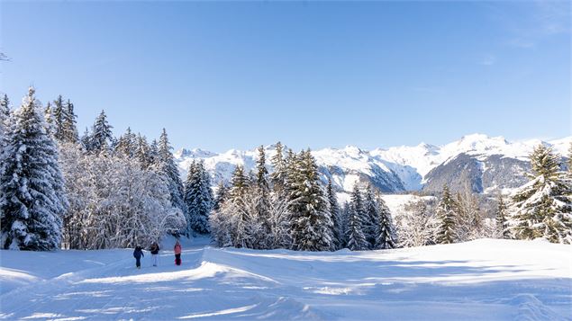 Montée des Bachals - OTVVA