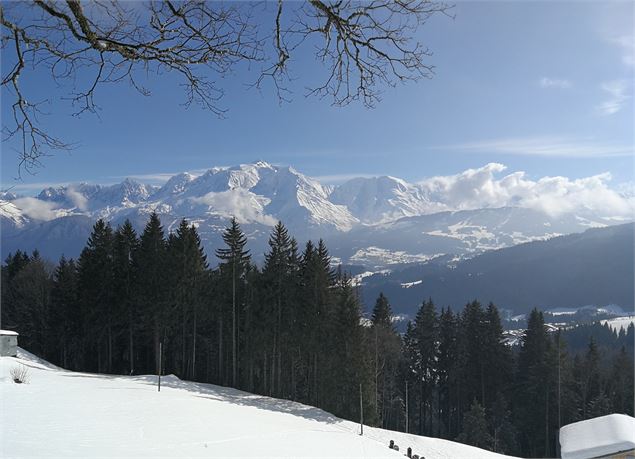 Vue sur la forêt et le Mont-Blanc - Sabine Deberles