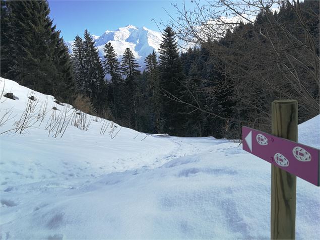 Panneau raquette indiquan la boucle des Sions - Sabine Deberles