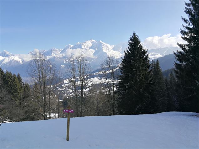 Champs de neige face au Mont-Blanc - Sabine Deberles
