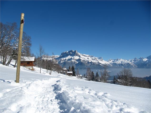 Panneau raquette indiquant la boucle des Ponts des Nants - © Jean-Marc BAREY