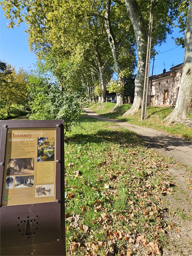 Itinéraire patrimonial et touristique_Thoissey