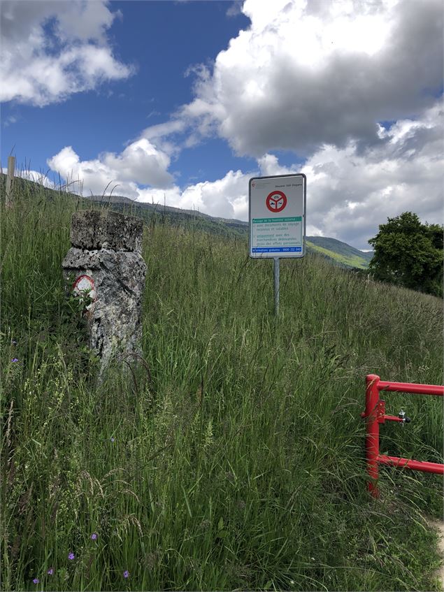 Passage en Suisse - Jules Guerle