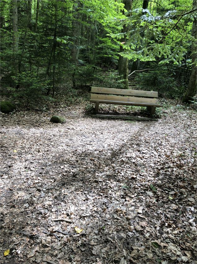 Faites une pause dans une jolie petite clairière - Jules Guerle
