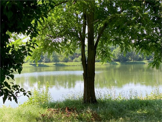 Étang Charles Bailly