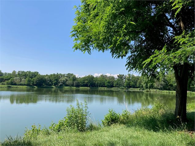 Étang Charles Bailly