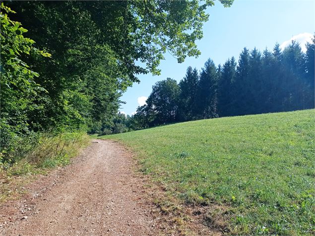 Sentier VTT : boucle du Bois de Fessy_Sallanches - Véronique Lorenzi
