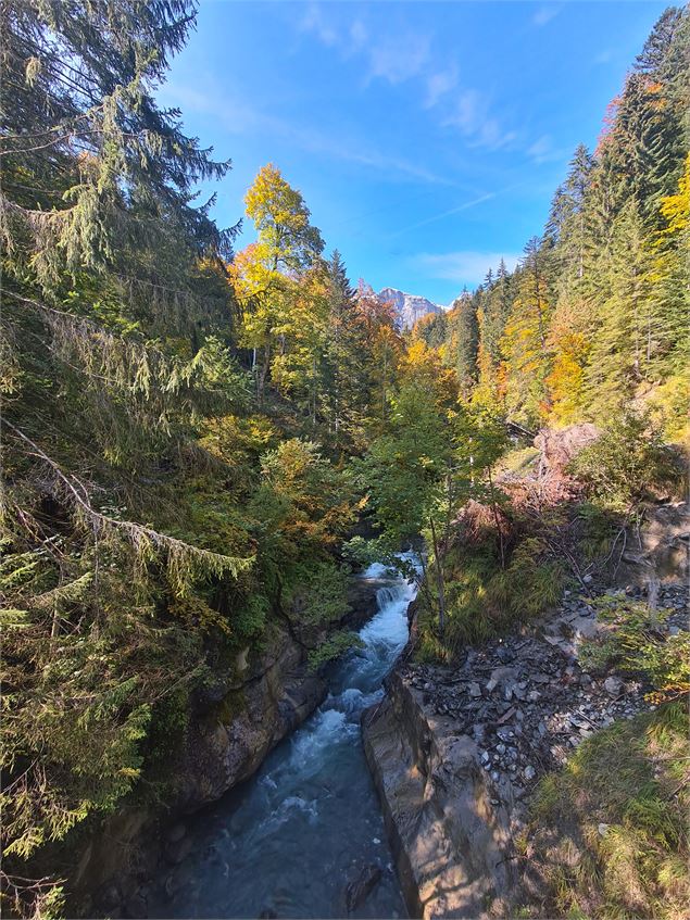 sentier VTT : boucle du Pont de la Flée_Sallanches - Véronique Lorenzi