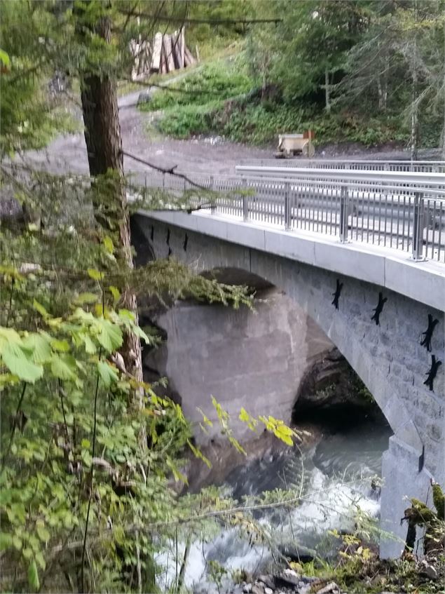 sentier VTT : boucle du Pont de la Flée_Sallanches - Véronique Lorenzi