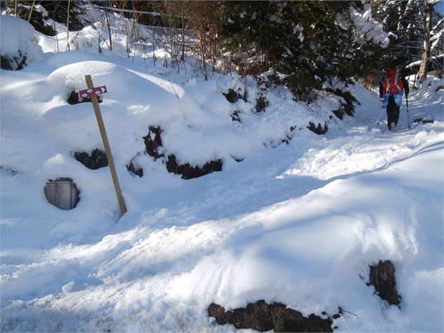 Boucle Plateau de la Croix - M. Mautué