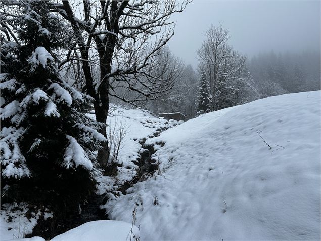 Sentier raquettes : la boucle des Combes_Sallanches - Océane Casanova