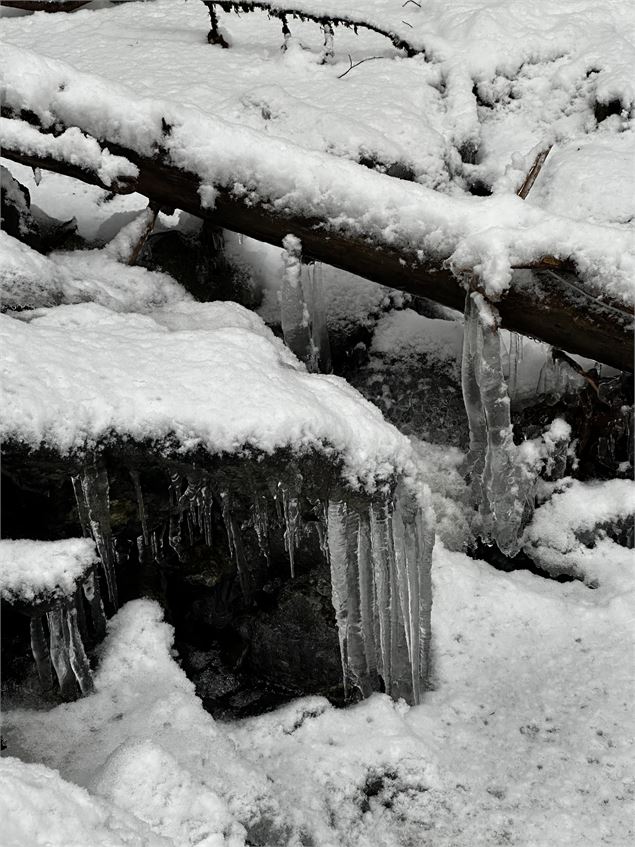Sentier raquettes : la boucle des Combes_Sallanches - Océane Casanova