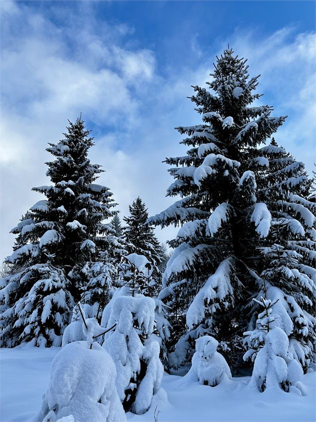 Sentier raquettes : la boucle des Combes_Sallanches - Océane Casanova