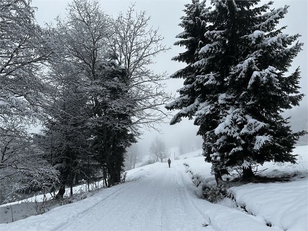 sentier raquettes : boucle du plateau de Mayères_Sallanches - Emilie Perrin