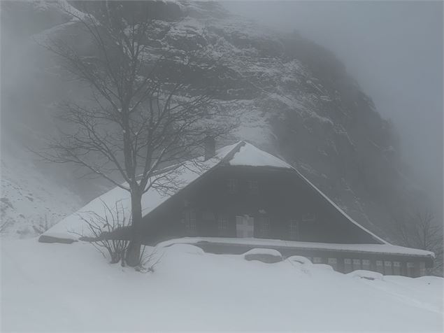 sentier raquettes : boucle du plateau de Mayères_Sallanches - Emilie Perrin