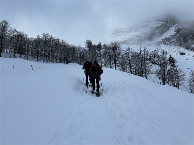 sentier raquettes : boucle du plateau de Mayères_Sallanches - Emilie Perrin