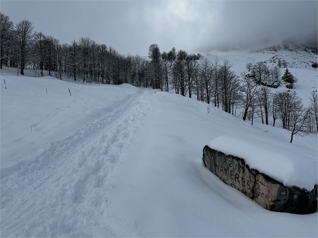 sentier raquettes : boucle du plateau de Mayères_Sallanches - Emilie Perrin