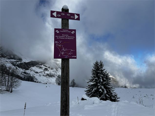 sentier raquettes : boucle du plateau de Mayères_Sallanches - Emilie Perrin