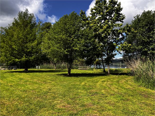 Plage Aiguebelette-le-Lac - C. Moureaux