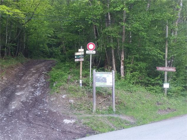 Sentier pédestre : Doran par le sentier du Gypaète