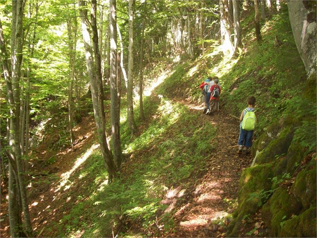 Sentier pédestre : Doran par le sentier du Gypaète