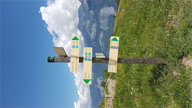 balisage à l'arrivée - bifurcations