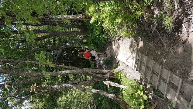 sentier pédestre : sentier forestier de Mayères