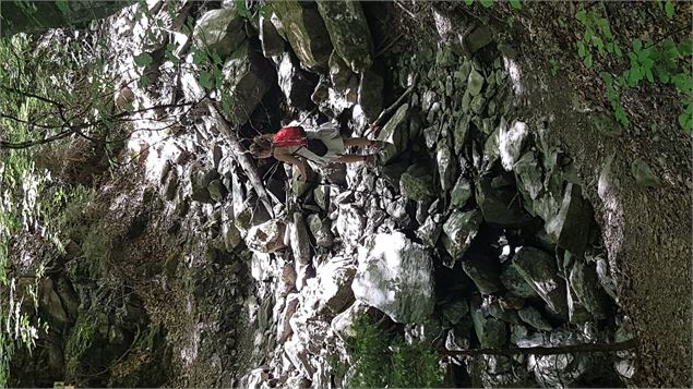 sentier pédestre : sentier forestier de Mayères