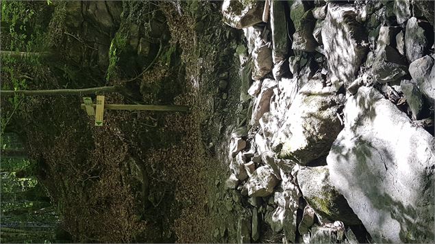 sentier pédestre : sentier forestier de Mayères