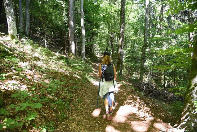 chemin forestier pour l'accès à la Pierre à Voix - Wendy Vincent