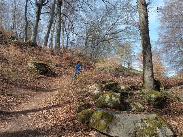 sentier pédestre : circuit des coteaux - Patrice Labarbe