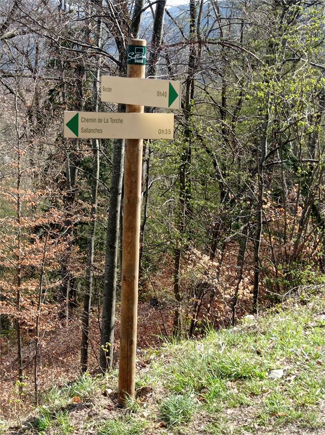 sentier pédestre : circuit des coteaux - Patrice Labarbe