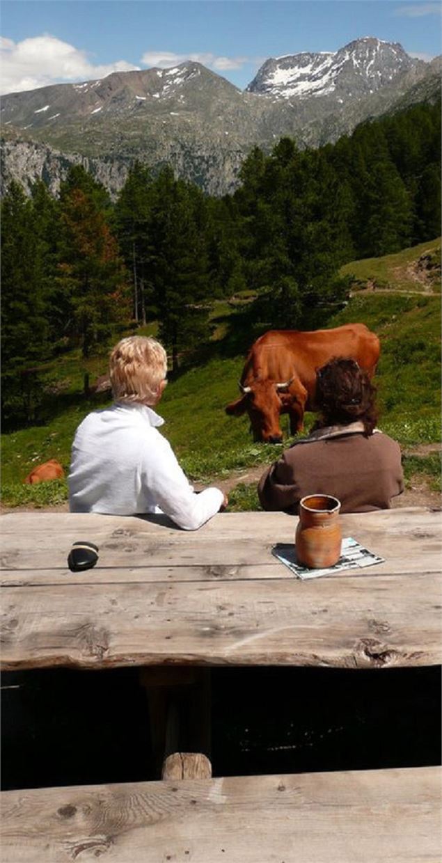 Les Alpages de Montbas - OT HMV - J. Cathala