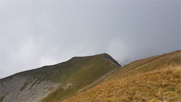 aperçu du sommet des 4 Têtes - Amandine Porret