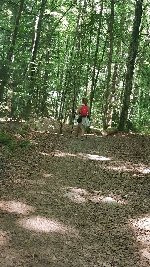 sentier pédestre : sentier forestier de Mayères - Véronique Lorenzi