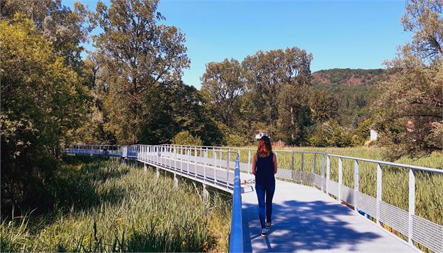 La grande passerelle de Bellignat - Morgane Saillard