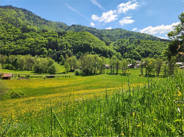 Hameau Les Moulins - Mole & Brasses Tourisme