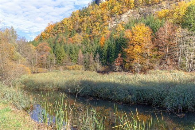 Sentier de randonnée - La Gouille aux Morts_Viuz-en-Sallaz - arnaud lesueur