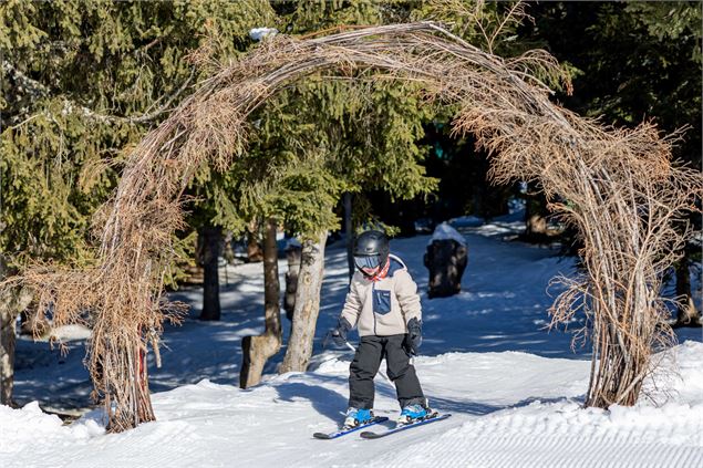 La forêt des elfes_Les Saisies