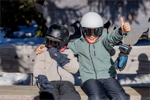 La forêt des elfes_Les Saisies