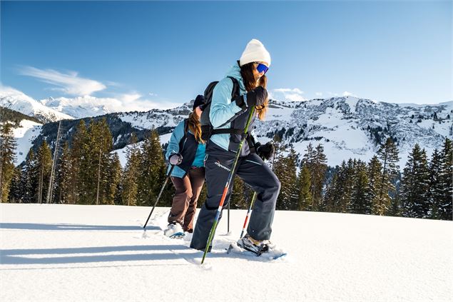 Raquettes au Cuvy - otab