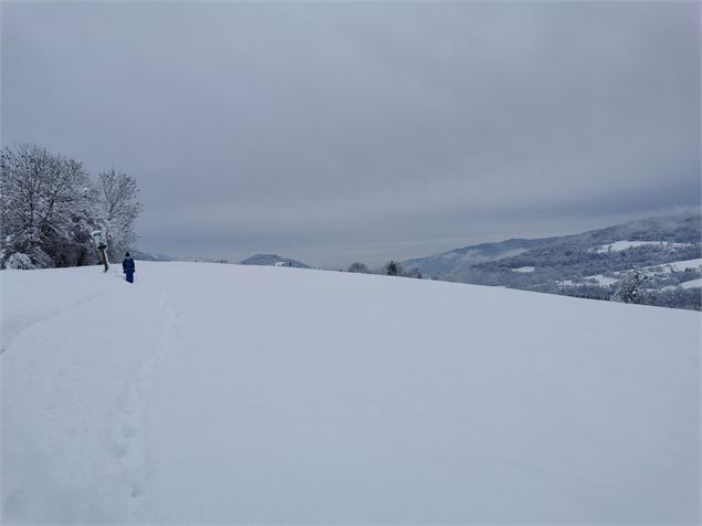 Espace ludique : Balade boule de neige 