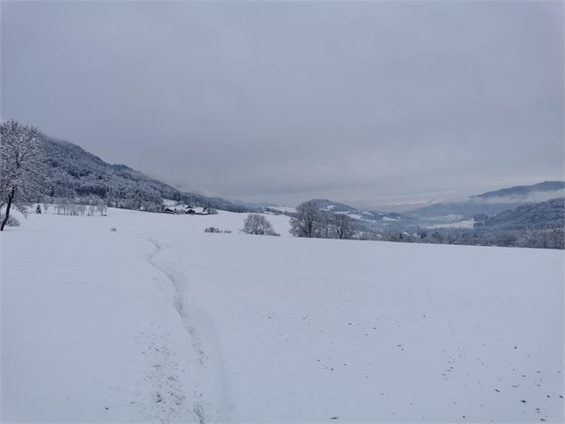 Espace ludique : Balade boule de neige 