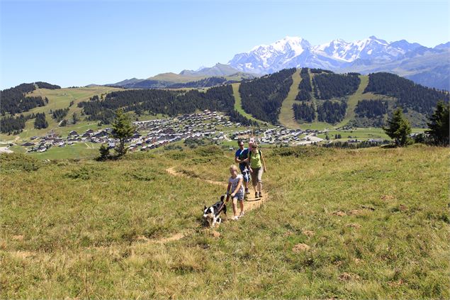 vue-imprenable-col-des-saisies - P. Somelet