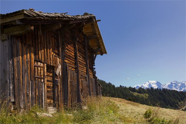 Authentique ferme d'alpage - P. Somelet