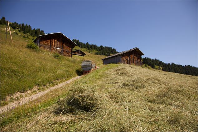 Montée sèche de Villard-sur-Doron - OT des Saisies