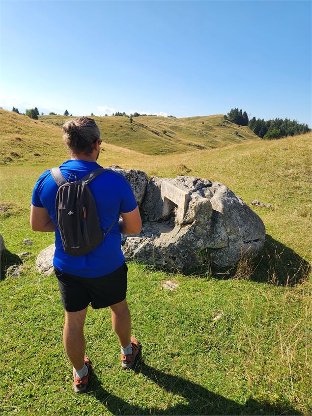 Symposium de Sculpture_Onnion - Maison des Brasses