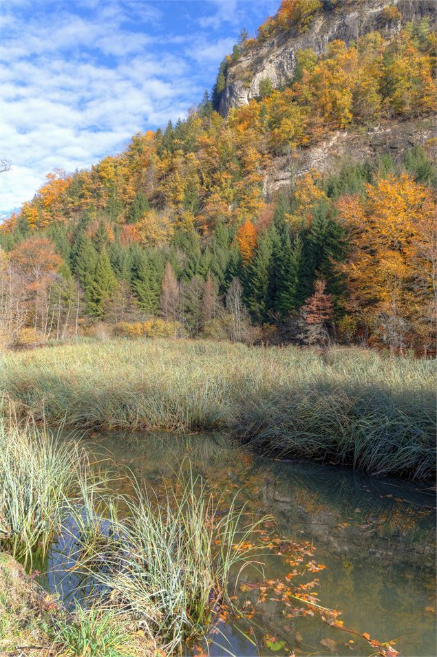 La Gouille aux Morts - Loin du tumulte